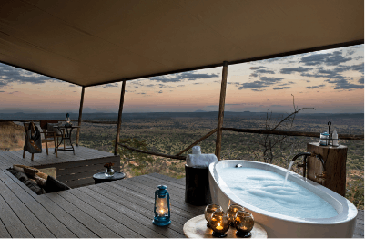 gepard-junge-tansania image gepard-junge-tansania image