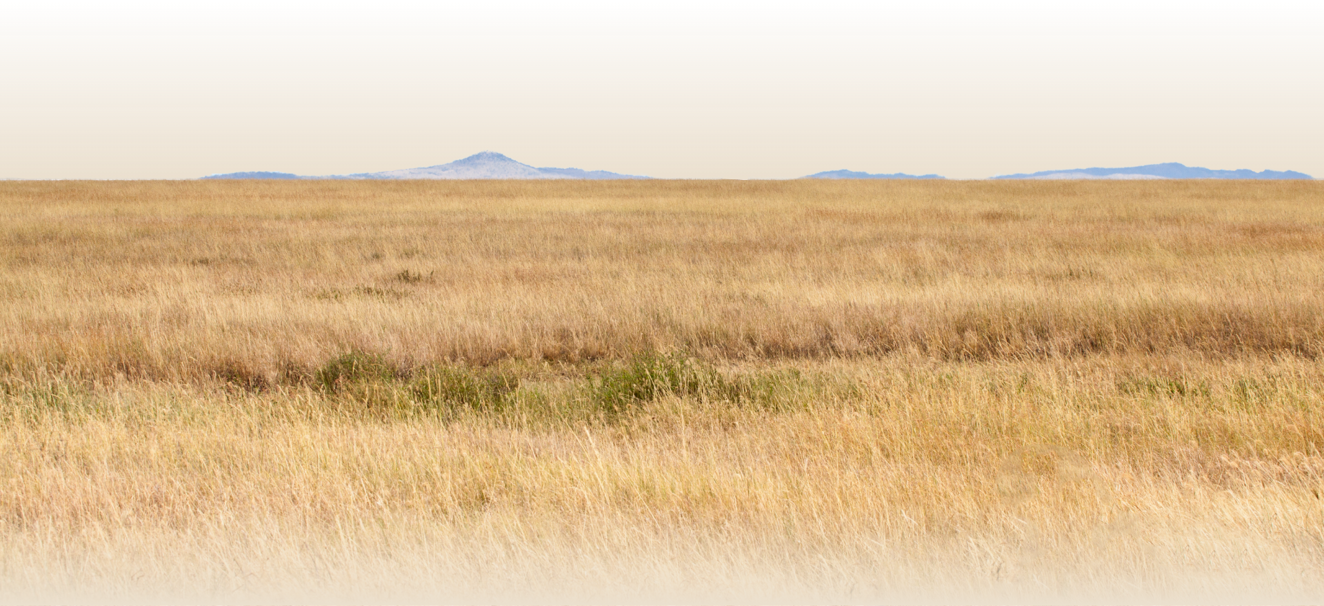 slider image slider image