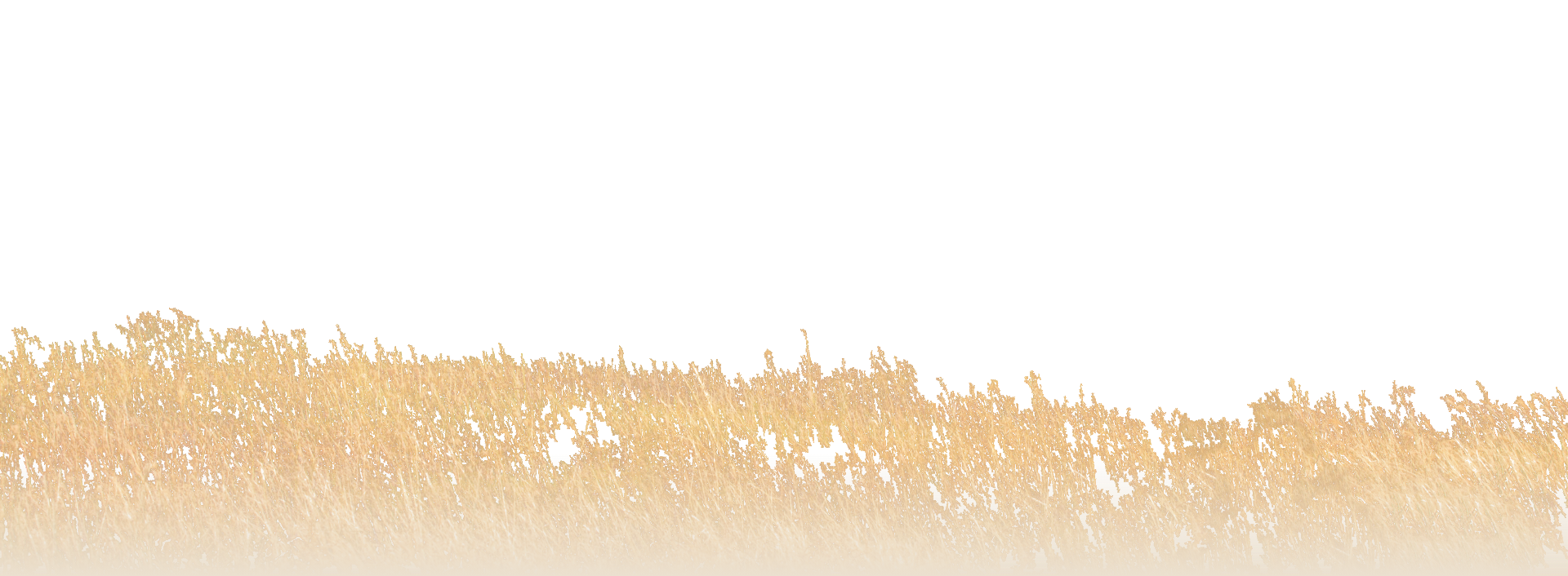 slider image slider image